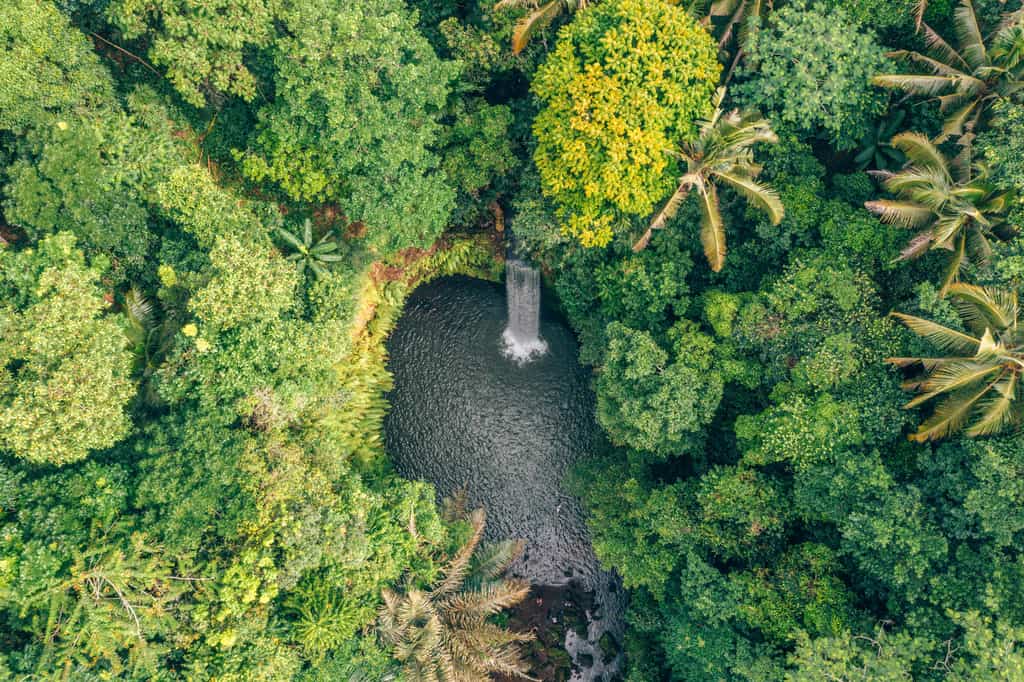 Tibumana Waterfall Bali – The Ultimate Guide to Visiting