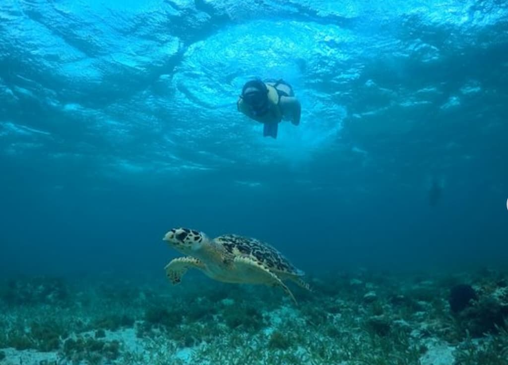 snorkelling Cancun